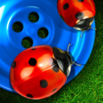 bugs and buttons